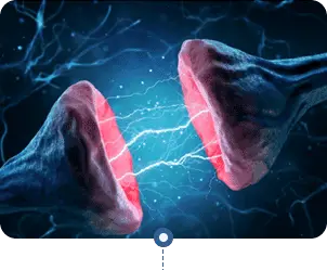 neura brain health supplement